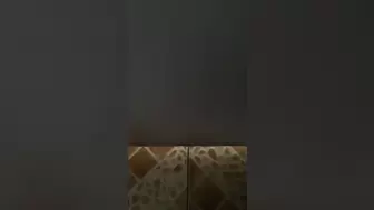 Chinese_Public_Toilet screenshot 1