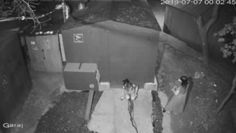 Russian Clubbers Take a Pissy Behind Shed screenshot 2