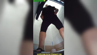 Beach Toilet 2022 (030-040) screenshot 2