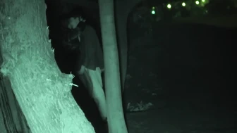 FU10 Night Watching 014 screenshot 2