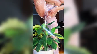 peestella - Pissing Compilation 05 screenshot 4