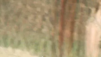 132 screenshot 2