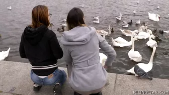 Renata Vesecka & Bara Cermakova - Feeding swans screenshot 1