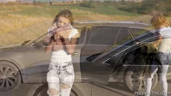 Jana Jelinkova & Pavla Petraskova - Selling a car screenshot 1