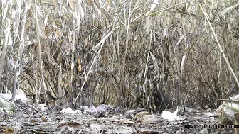 Pee Compilation 12 screenshot 2
