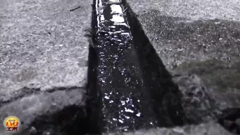 DLEE-197 01 Outdoor peeing voyeur with shameful farts echoing in the narrow alley screenshot 1
