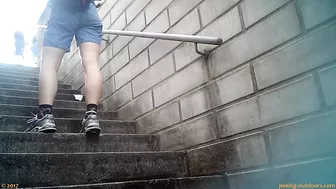 Public Piss Poster 0009 screenshot 4