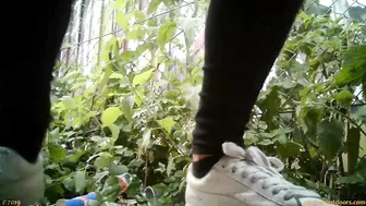 Public Piss Poster 0017 screenshot 2