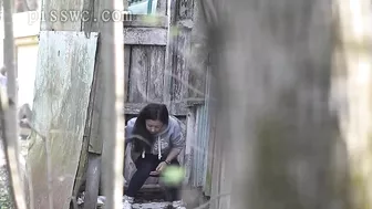 249 screenshot 2